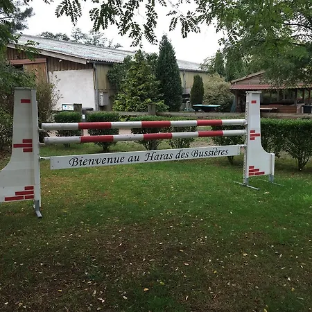 Haras Des Bussieres Bischwiller