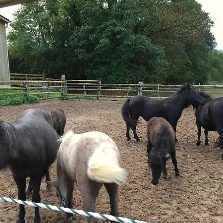 Haras Des Bussieres Apartament *